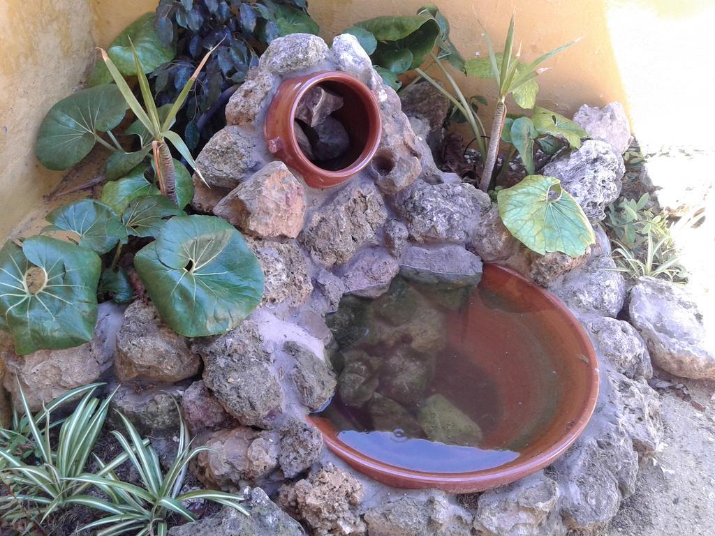 La Morera, El Palmar El Palmar  Pokój zdjęcie